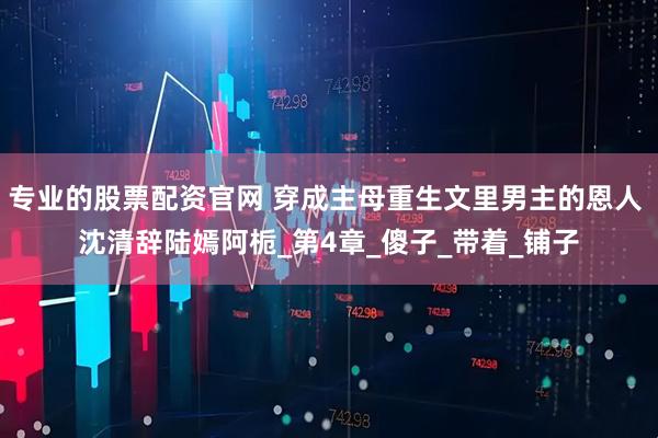 专业的股票配资官网 穿成主母重生文里男主的恩人 沈清辞陆嫣阿栀_第4章_傻子_带着_铺子