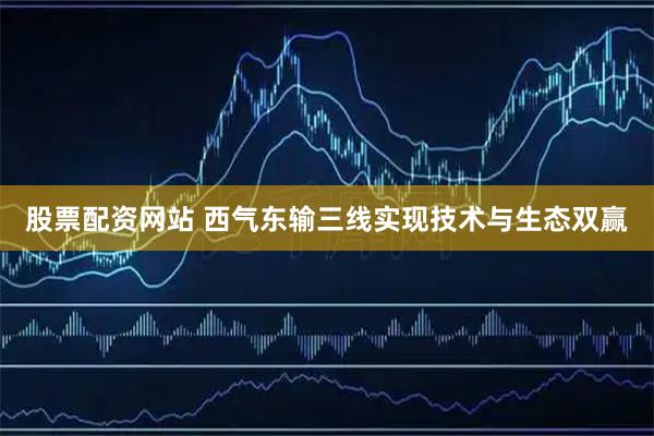 股票配资网站 西气东输三线实现技术与生态双赢