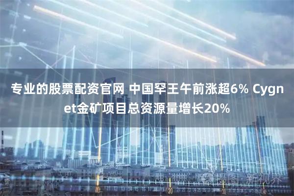 专业的股票配资官网 中国罕王午前涨超6% Cygnet金矿项目总资源量增长20%